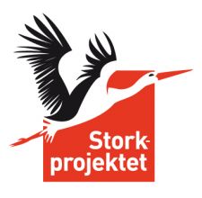 Storkprojektet